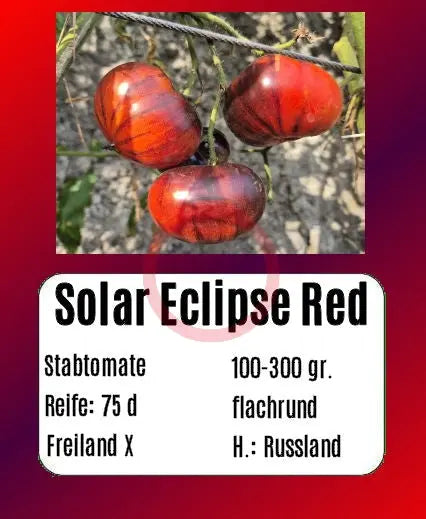 Solar Eclipse DER TOMATENFLÜSTERER