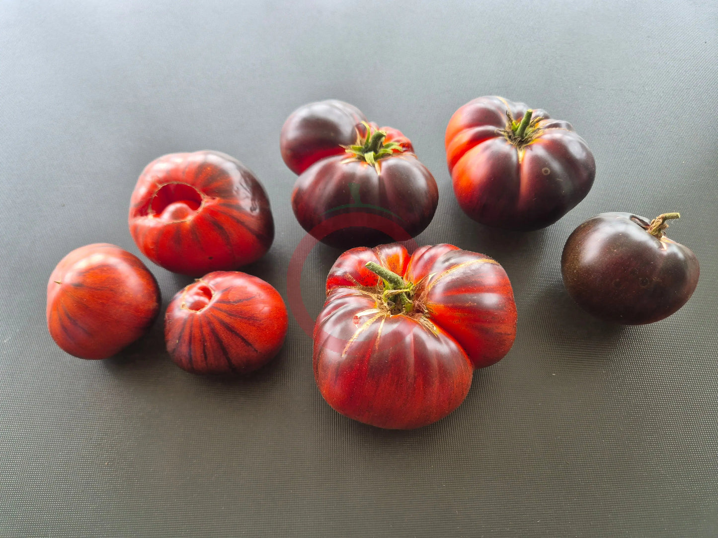 Solar Eclipse DER TOMATENFLÜSTERER
