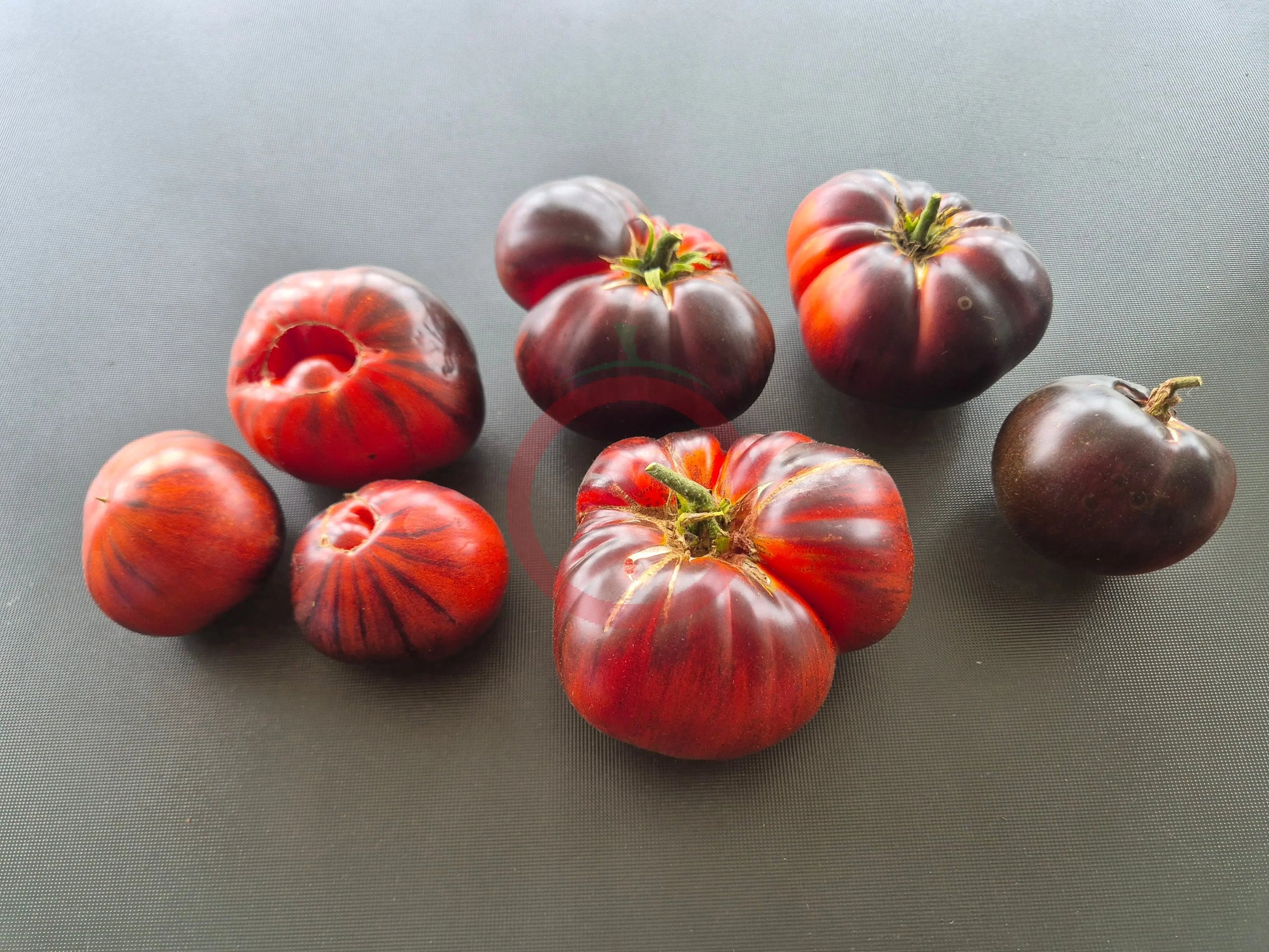 Solar Eclipse DER TOMATENFLÜSTERER