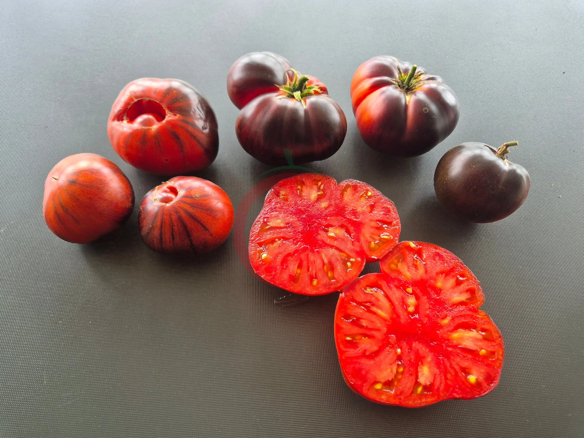 Solar Eclipse DER TOMATENFLÜSTERER