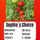 Sophie´s Choice DER TOMATENFLÜSTERER