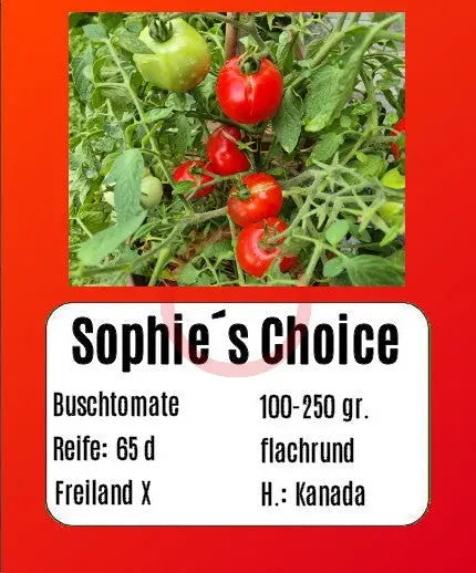 Sophie´s Choice DER TOMATENFLÜSTERER