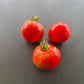 Sophie´s Choice DER TOMATENFLÜSTERER