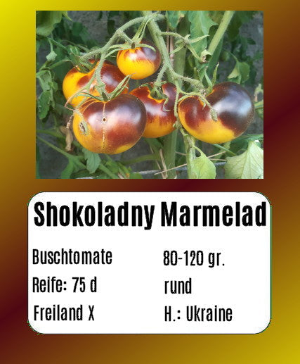 Sortenset Balkontomaten 2024 DER TOMATENFLÜSTERER