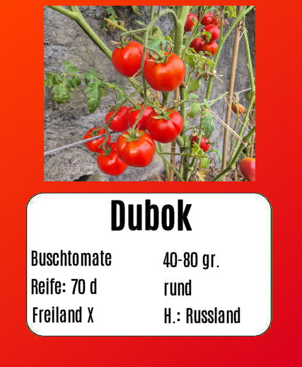 Sortenset Balkontomaten 2025 DER TOMATENFLÜSTERER