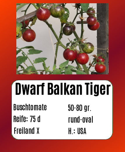 Sortenset Balkontomaten 2025 DER TOMATENFLÜSTERER