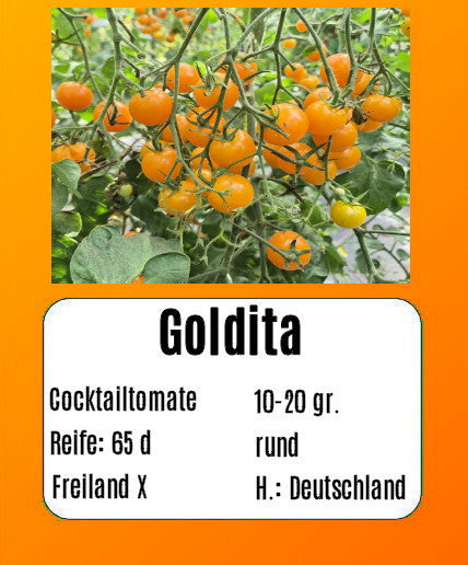 Sortenset Bunte Cocktailtomaten 2025 DER TOMATENFLÜSTERER