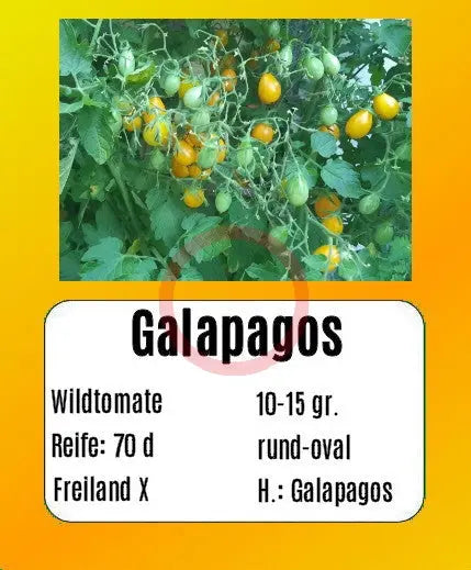 Sortenset Bunte Cocktailtomaten DER TOMATENFLÜSTERER