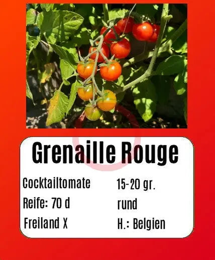 Sortenset Bunte Cocktailtomaten DER TOMATENFLÜSTERER