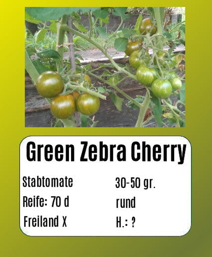 Sortenset Bunte Salattomaten 2024 DER TOMATENFLÜSTERER