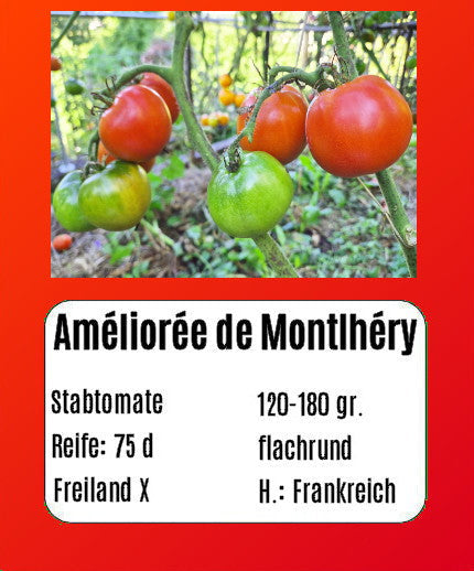 Sortenset Bunte Salattomaten 2025 DER TOMATENFLÜSTERER