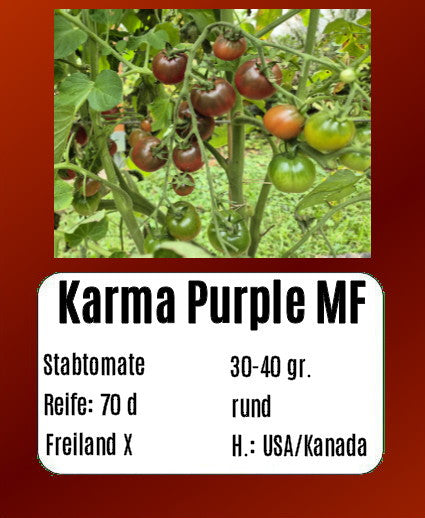 Sortenset Bunte Salattomaten 2025 DER TOMATENFLÜSTERER