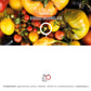 Sortenset Chilis 2024 DER TOMATENFLÜSTERER