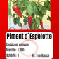 Sortenset Chilis 2024 DER TOMATENFLÜSTERER