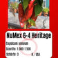 Sortenset Chilis 2024 DER TOMATENFLÜSTERER