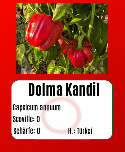 Sortenset Paprika 2024 DER TOMATENFLÜSTERER