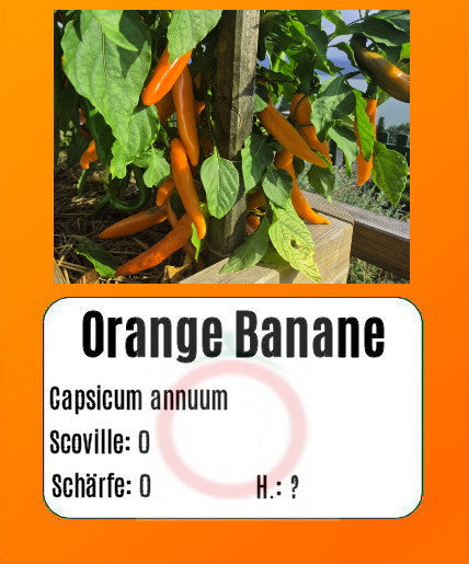 Sortenset Paprika 2024 DER TOMATENFLÜSTERER