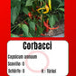 Sortenset Paprika 2024 DER TOMATENFLÜSTERER
