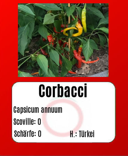 Sortenset Paprika 2024 DER TOMATENFLÜSTERER