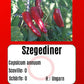 Sortenset Paprika 2024 DER TOMATENFLÜSTERER