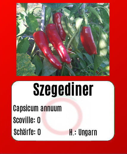 Sortenset Paprika 2024 DER TOMATENFLÜSTERER