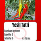 Sortenset Paprika 2024 DER TOMATENFLÜSTERER