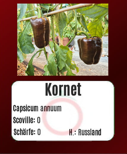 Sortenset Paprika 2024 DER TOMATENFLÜSTERER