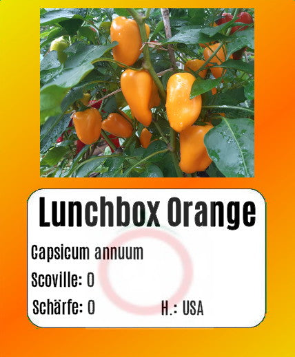 Sortenset Paprika 2025 DER TOMATENFLÜSTERER