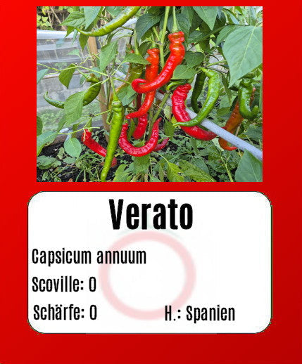 Sortenset Paprika 2025 DER TOMATENFLÜSTERER