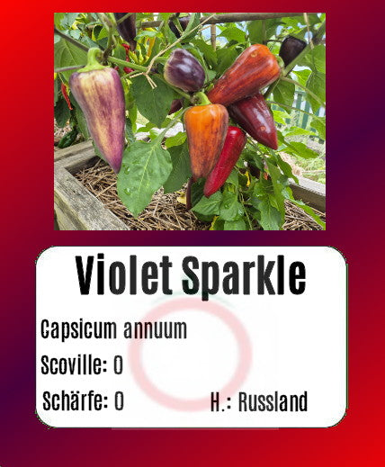 Sortenset Paprika 2025 DER TOMATENFLÜSTERER