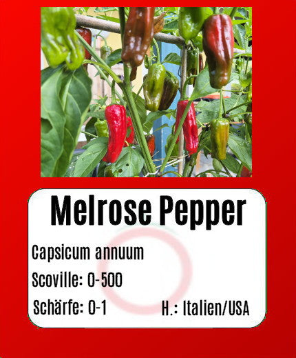 Sortenset Paprika 2025 DER TOMATENFLÜSTERER