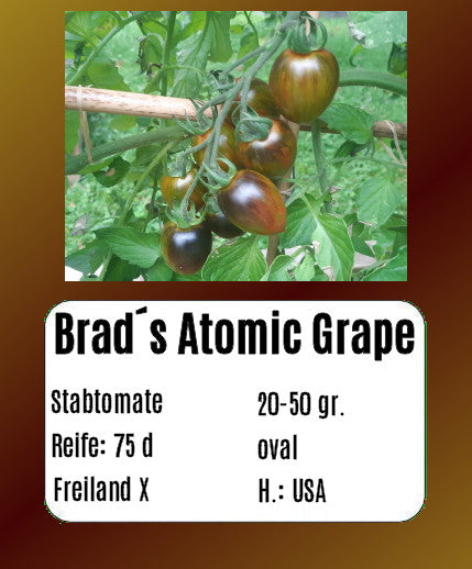 Sortenset Robuste Freilandsorten 2025 DER TOMATENFLÜSTERER