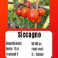 Sortenset "Pomodori dell bella Italia" DER TOMATENFLÜSTERER