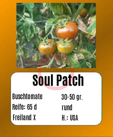 Soul Patch DER TOMATENFLÜSTERER