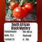 South African Black Mystery DER TOMATENFLÜSTERER
