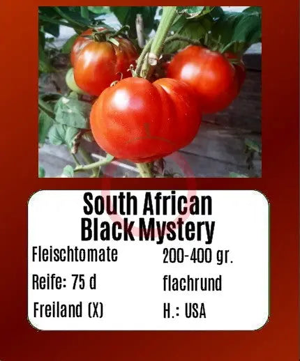 South African Black Mystery DER TOMATENFLÜSTERER