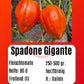 Spadone Gigante DER TOMATENFLÜSTERER