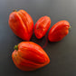 Spadone Gigante DER TOMATENFLÜSTERER