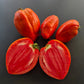 Spadone Gigante DER TOMATENFLÜSTERER