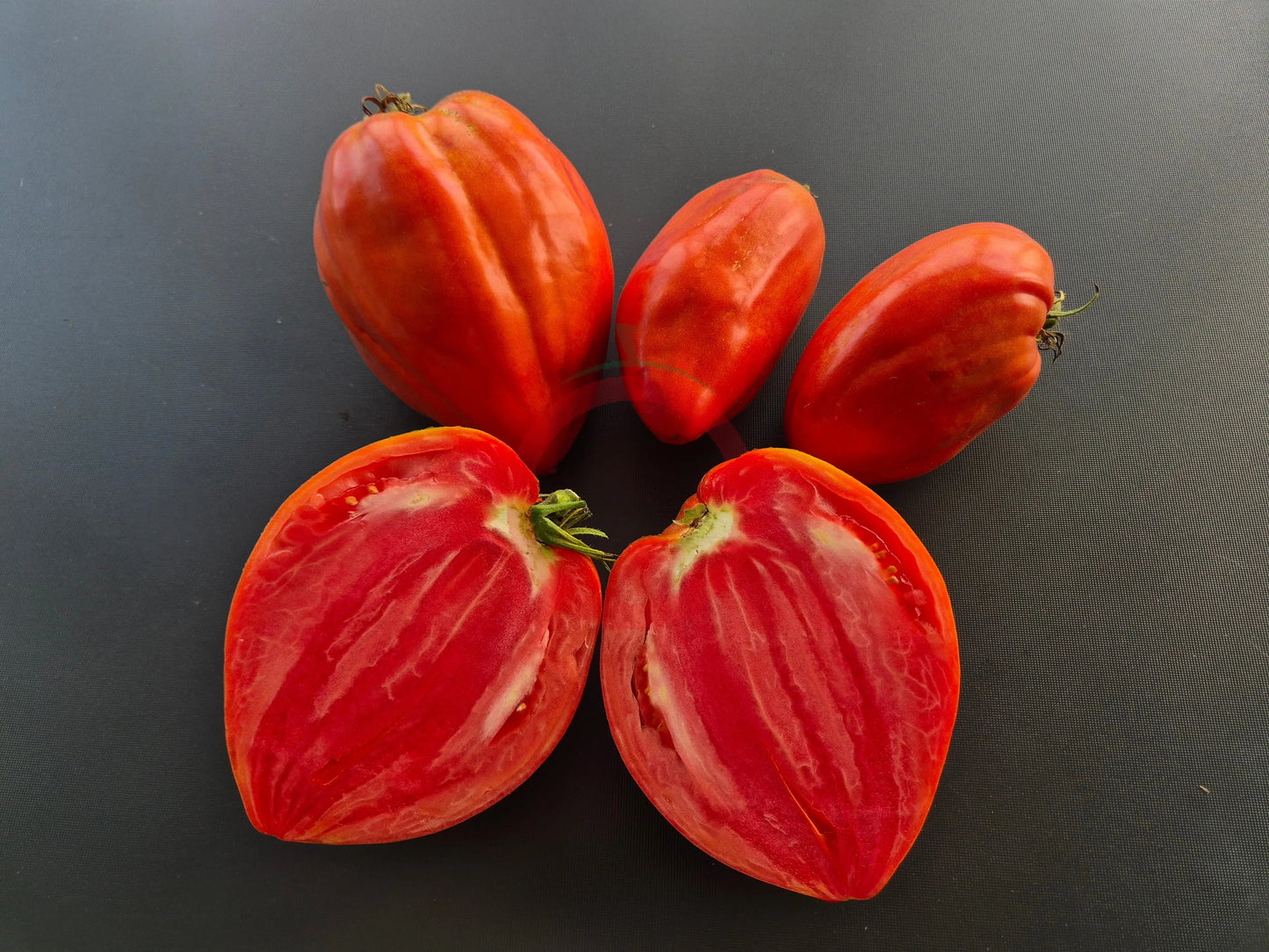 Spadone Gigante DER TOMATENFLÜSTERER