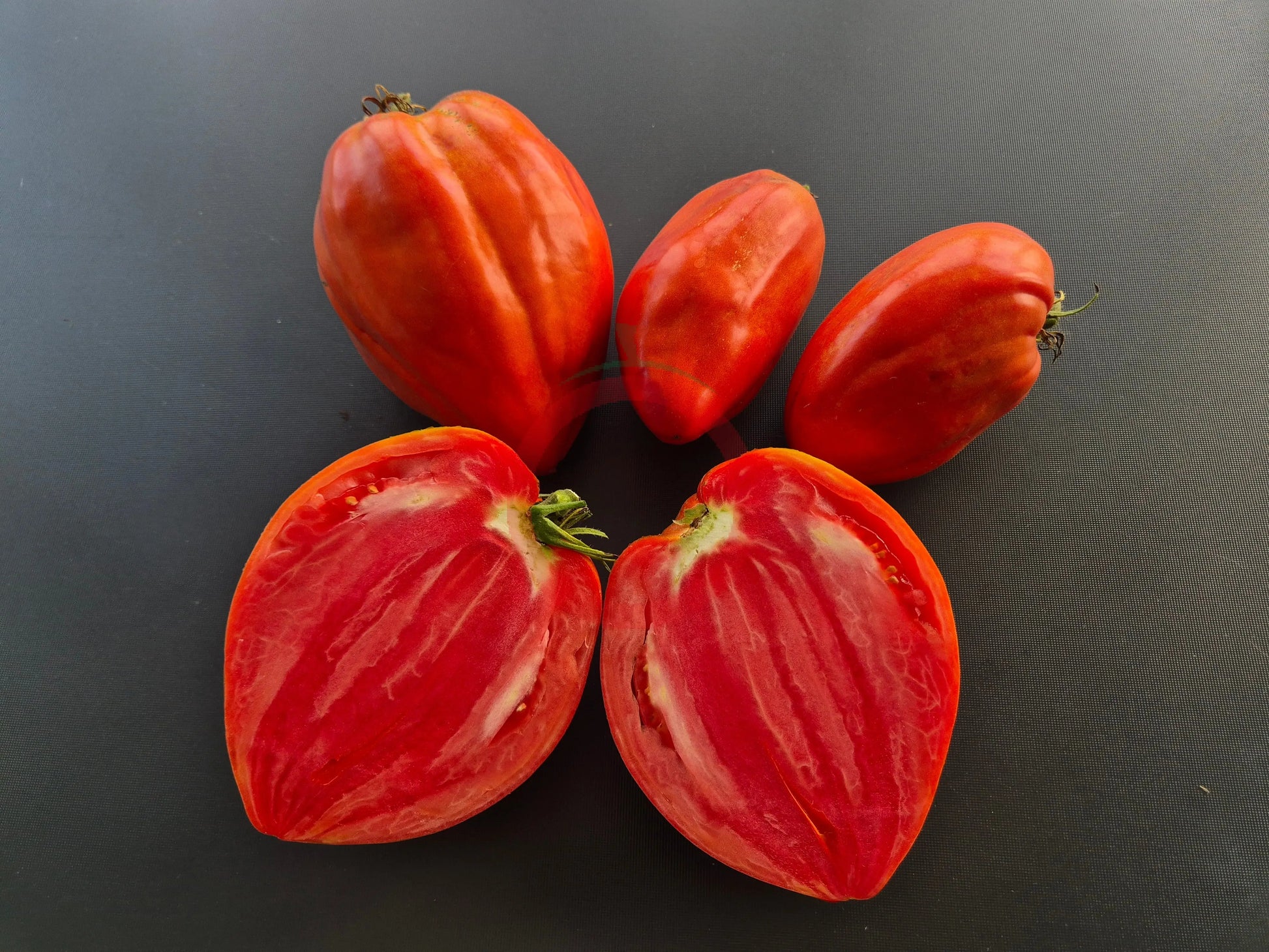 Spadone Gigante DER TOMATENFLÜSTERER