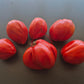 Spadone Gigante DER TOMATENFLÜSTERER