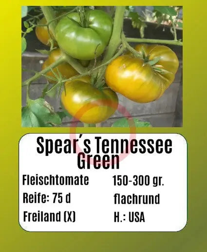 Spear´s Tennessee Green DER TOMATENFLÜSTERER