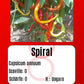Spiral DER TOMATENFLÜSTERER