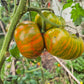 Spud Viper DER TOMATENFLÜSTERER