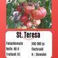 St. Teresa DER TOMATENFLÜSTERER