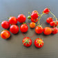 Starfire Isis DER TOMATENFLÜSTERER