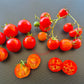 Starfire Isis DER TOMATENFLÜSTERER