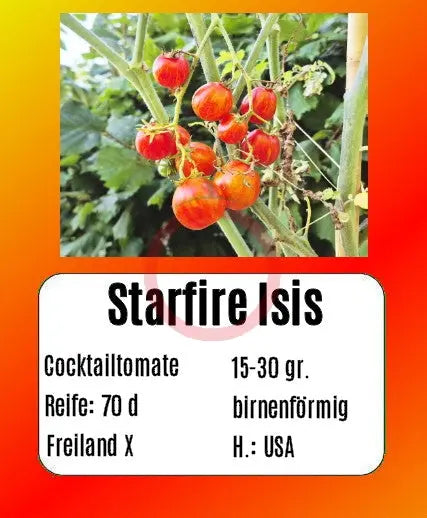Starfire Isis DER TOMATENFLÜSTERER