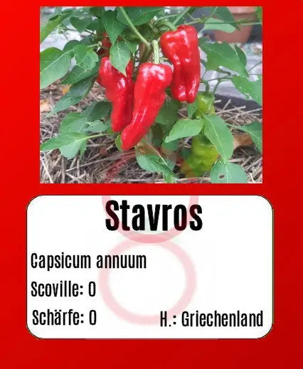 Stavros DER TOMATENFLÜSTERER